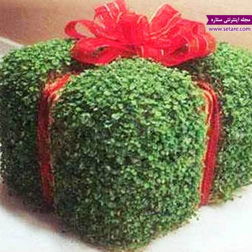 طرز تهیه سبزه منداب، کاشت سبزه منداب و خرفه، سبز کردن سبزه منداب، نام دیگر منداب 