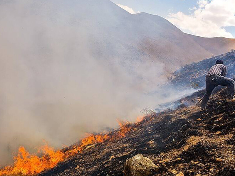 کابوس حریق در جنگل های کردستان/آتش سوزی ها ۲.۵برابر شد