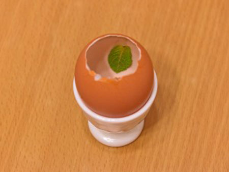 تخم مرغ ژله ای,درست کردن ژله تخم مرغی