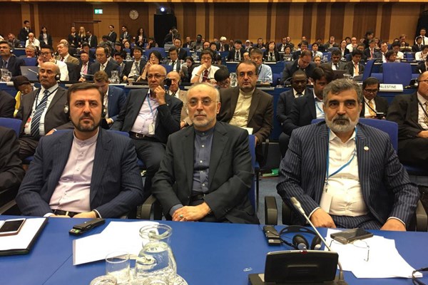 صالحی: ایران اهداف منطقی برای گسترش برنامه صلح‌آمیز هسته‌ای خود دارد