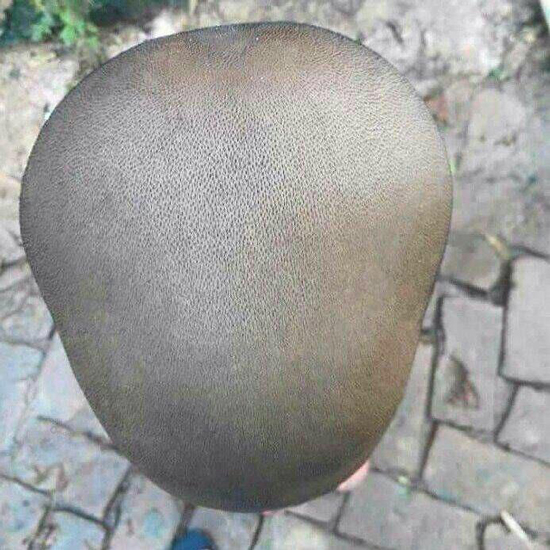 شوخی‌های جالب شبکه‌های اجتماعی؛