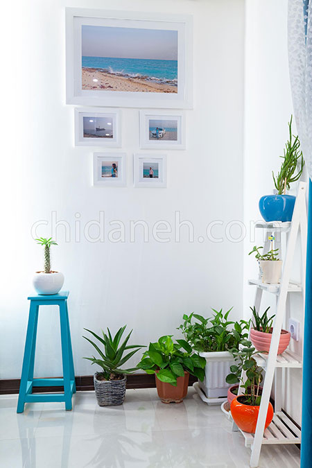 دکوراسیون آبی و سفید، خانه امیر و زهرا پر از آرامش است!