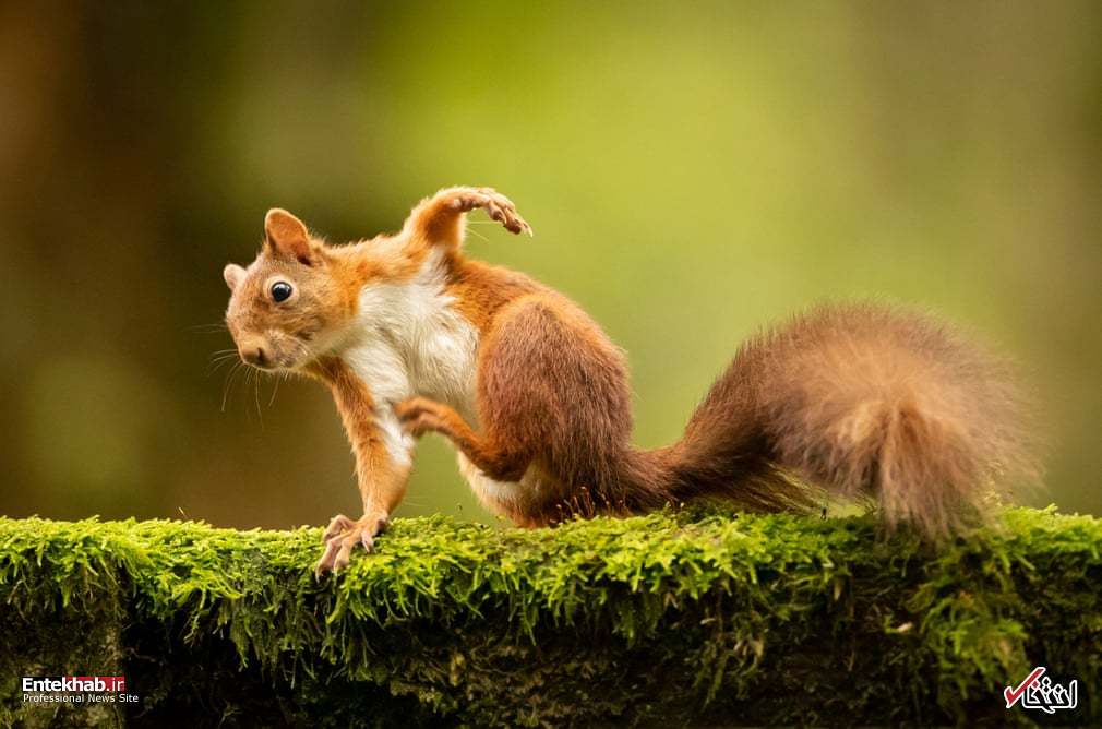 تصاویر : دیدنی‌های امروز یکشنبه ۶ آبان‌ماه