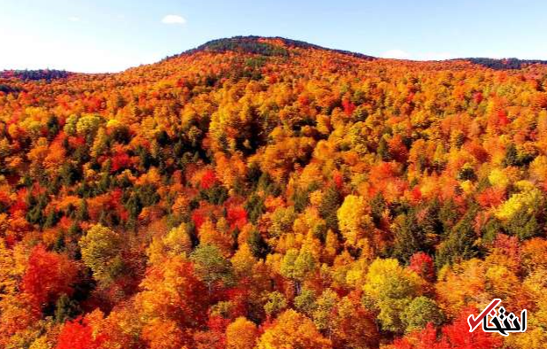 با مالکان بزرگ ترین زمین های جهان آشنا شوید / از جف بزوس تا کلیسای کاتولیک!