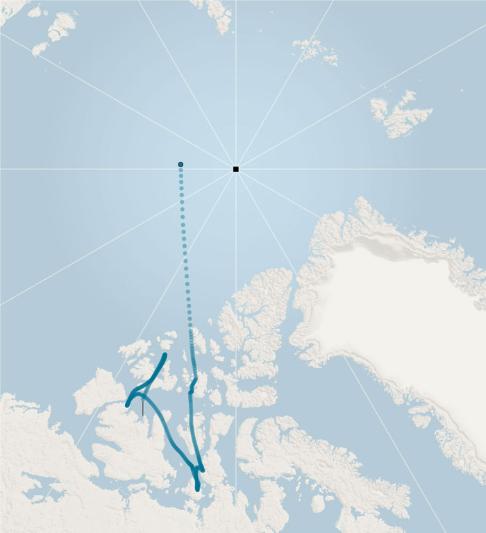 اخبار جهان علم در سال 2019