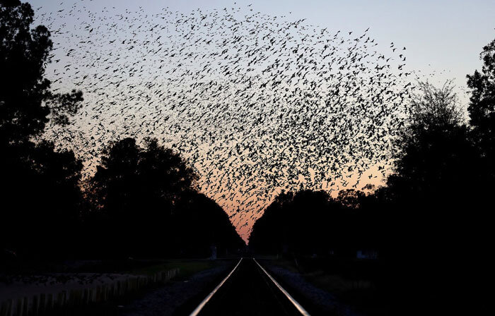 اخبار جهان علم در سال 2019