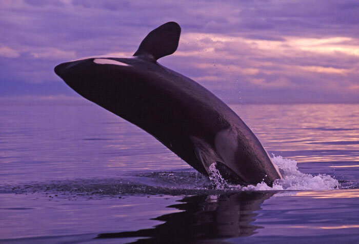 اخبار جهان علم در سال 2019