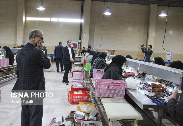 سفر ۱۵ سفیر جمهوری اسلامی ایران به استان کرمان