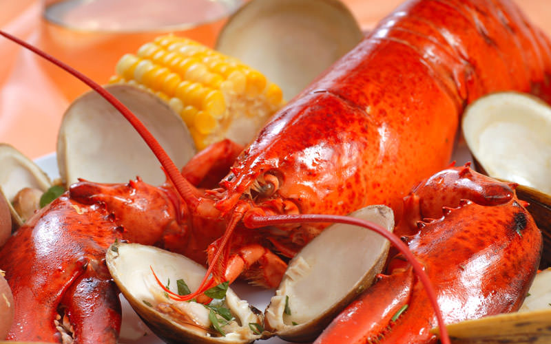 شاه‌میگو یا لابستر