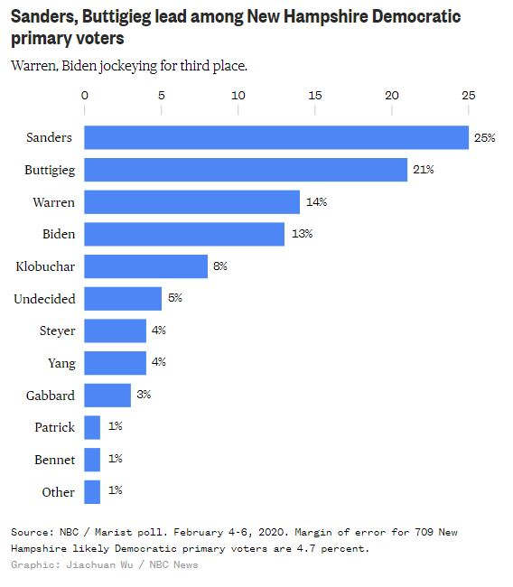 نظرسنجی رقابت‌های انتخاباتی در بین دموکرات در نیوهمپشایر