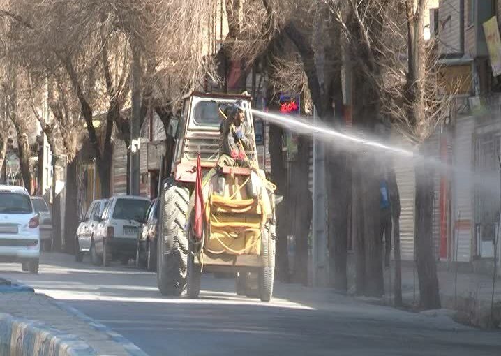 ضدعفونی کردن شهرها نبایید صدمه به درختان باشد/ درخت ها را دریابیم