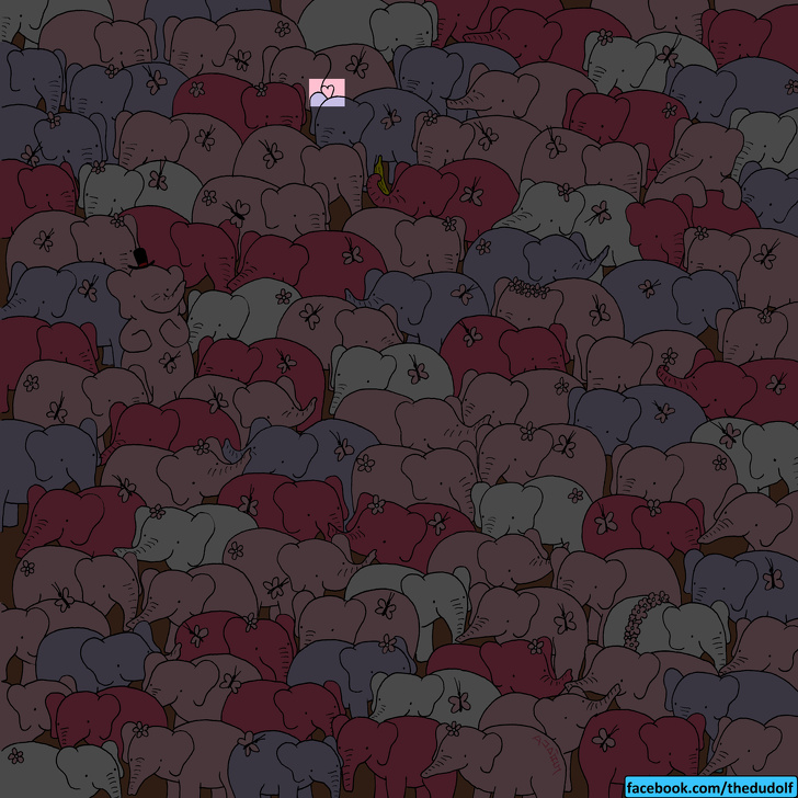 چند معمای تصویری که تیزبین‌ترین چشم‌ها هم قادر به حلشان نیست