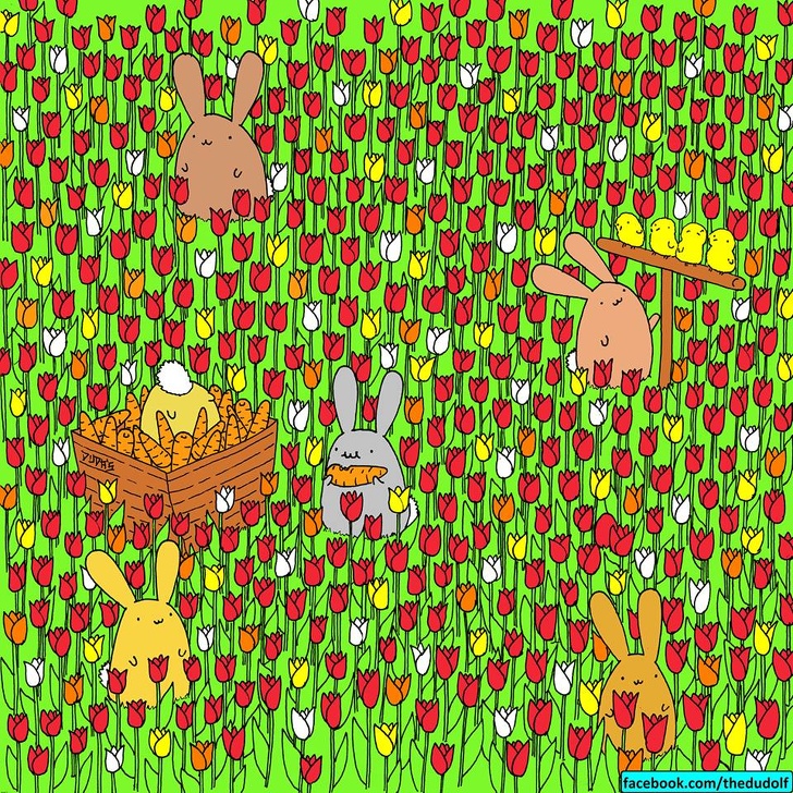 چند معمای تصویری که تیزبین‌ترین چشم‌ها هم قادر به حلشان نیست