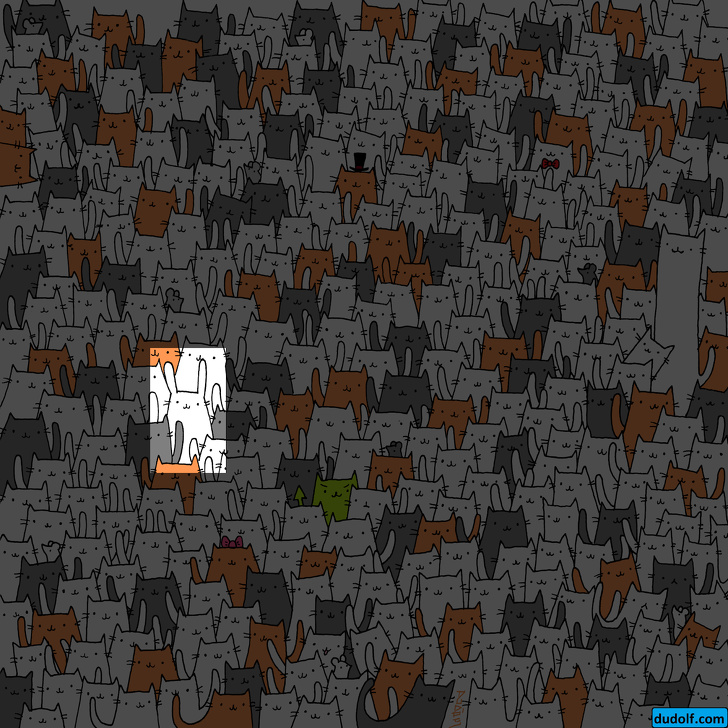 چند معمای تصویری که تیزبین‌ترین چشم‌ها هم قادر به حلشان نیست