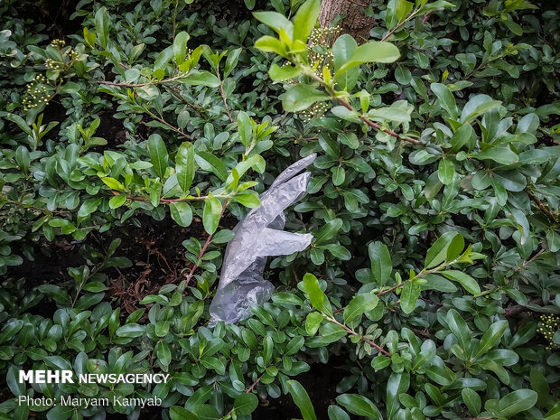 رهاسازی دستکش یا ماسک در خیابان اقدام نادرست عده ای از هموطنان