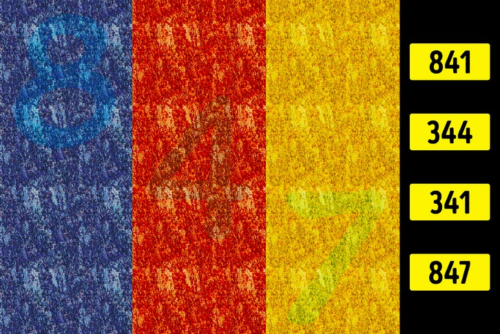 ۱۰ معمای تصویری برای آنها که چشمان تیزبینی دارند