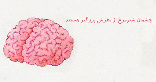 20 دانستنی خنده دار که واقعا حقیقت دارند