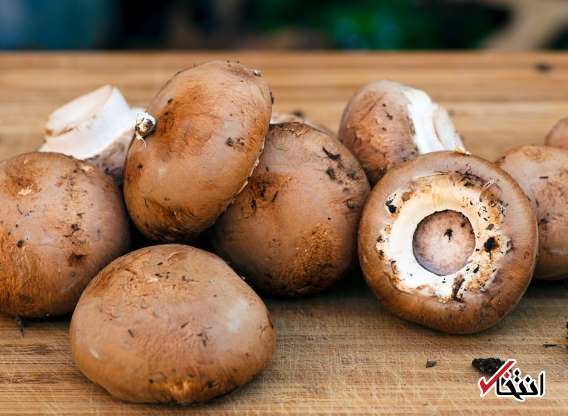 این خوراکیها را هر روز بخورید تا لاغر شوید! این خوراکیها را هر روز بخورید تا لاغر شوید!