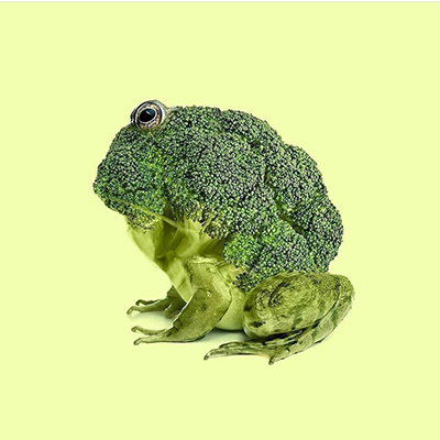 اگر حیوانات از میوه تشکیل می‌شدند!