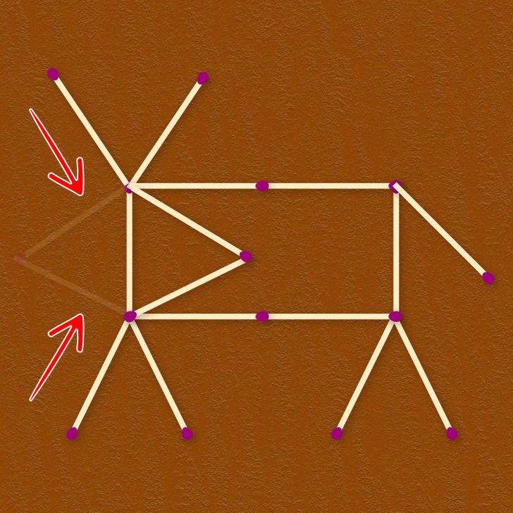 چند معمای تصویری جذاب برای سنجش هوش و قدرت استدلال شما
