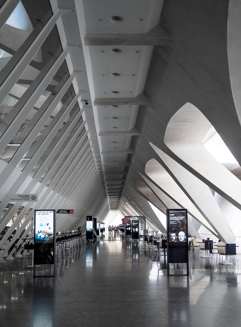 موزه‌ای به شکل اسکلت نهنگ+تصاویر