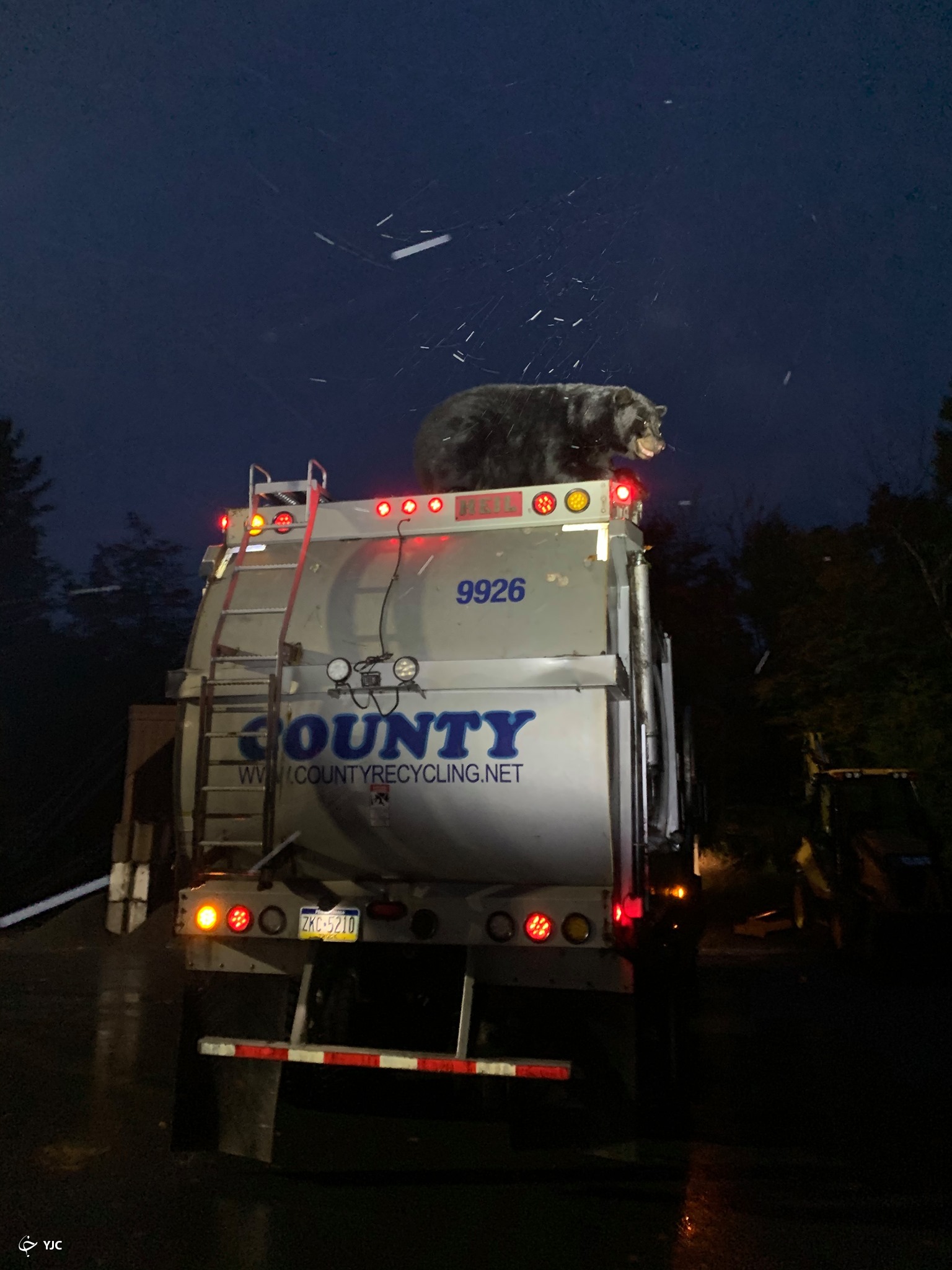 کامیون سواری خرس سیاه تا ایستگاه پلیس!