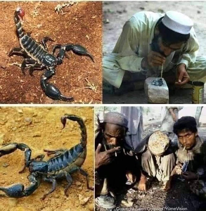 اعتیاد در پاکستان اعتیاد در پاکستان