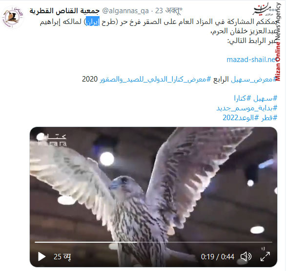 قطر