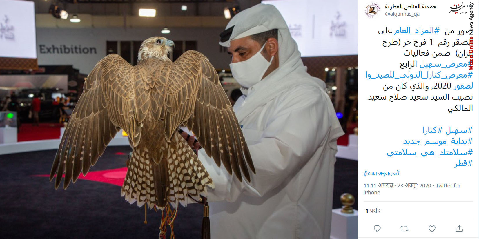قطر