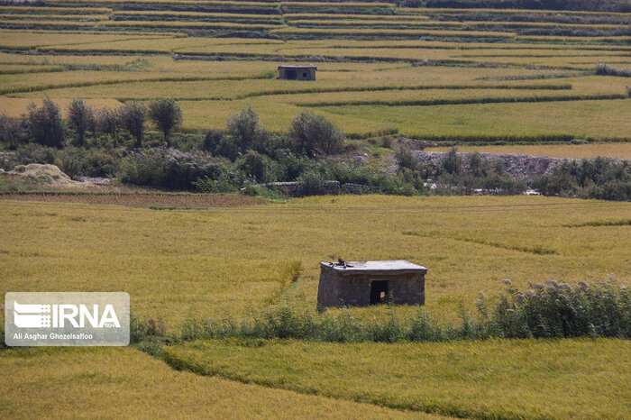 اشتغالزایی و بهرهبرداری اصولی با توسعه تعاونیها در منابع طبیعی اصفهان