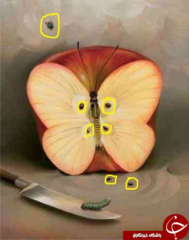 اولین چیزی که در تصویر می‌بینید ترس واقعی شما را نمایان خواهد کرد