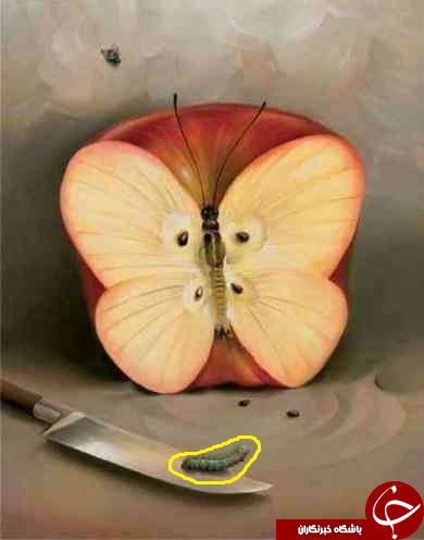 اولین چیزی که در تصویر می‌بینید ترس واقعی شما را نمایان خواهد کرد