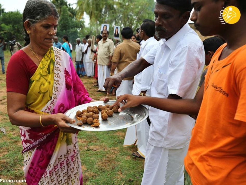 جشن پیروزی کامالا هریس در روستای آبا و اجدادی/ عکس