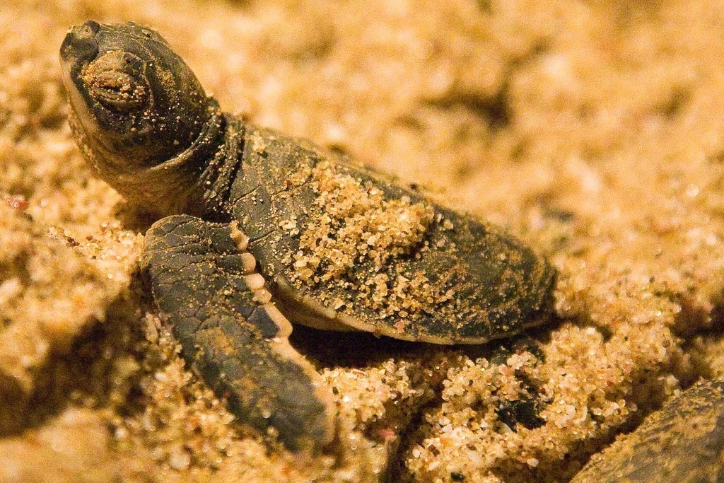 تصاویری که ثابت می‌کند عمان با زیبایی‌های طبیعی احاطه شده