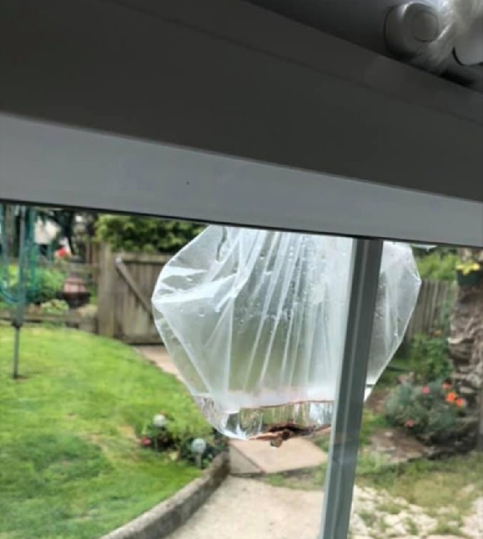 جلوگیری از ورود مگس ها به خانه