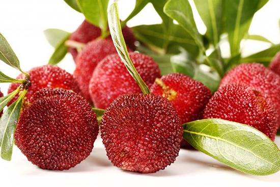 عجیب‌ترین میوه‌های دنیا