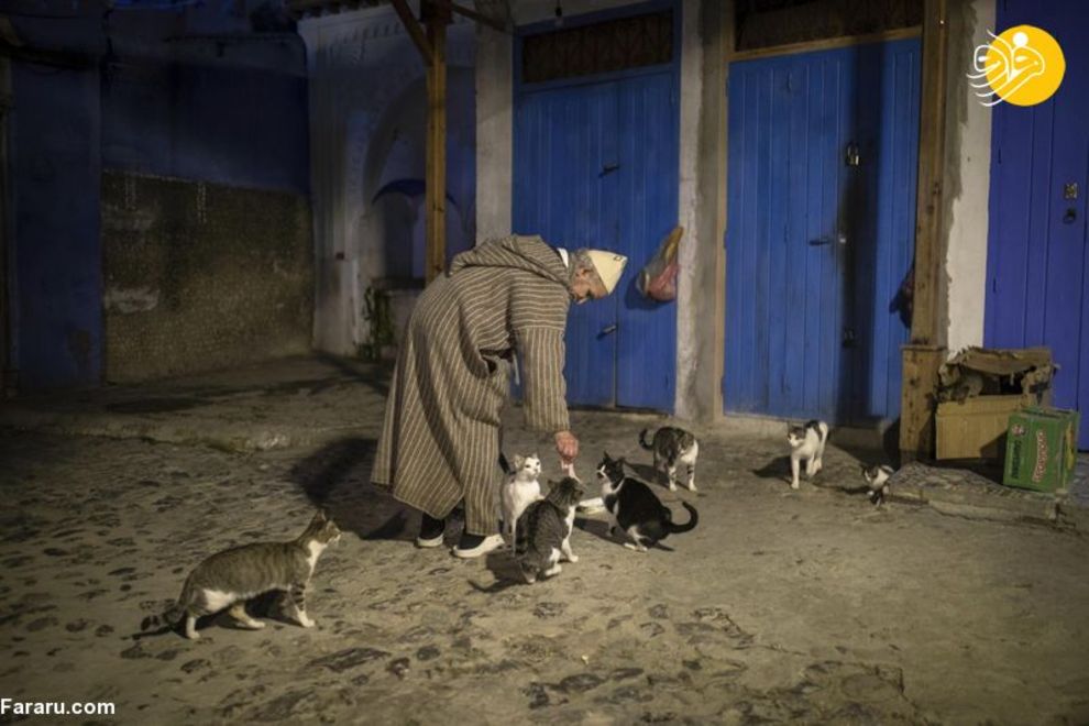 شهر آبی رنگ مراکش، عاری از ابتلا به کرونا است/ تصاویر‌