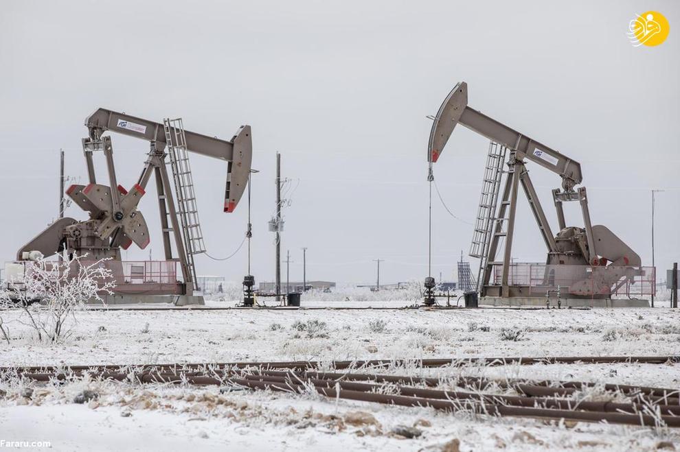 تگزاس یخ زد!/ تصاویر