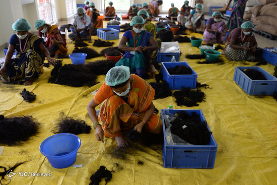 تجارت مو در هند 