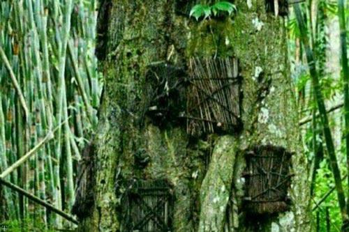 عجیب‌ترین قوانین در دفن نوزادان در شرق آسیا