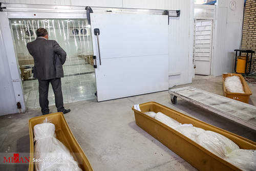 روز‌های نفس گیر آرامستان‌های مشهد/ به روایت تصاویر