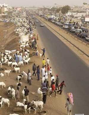 عيد قربان,آداب و رسوم,آداب عید قربان عيد قربان,آداب و رسوم,آداب عید قربان