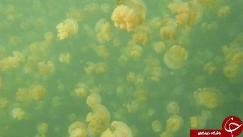 عجیب‌ترین دریاچه‌های جهان + تصاویر