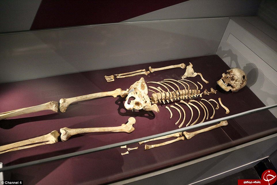 چهره مرد‌ها در ۱۰ هزار سال پیش به چه شکل بوده است؟ +تصاویر