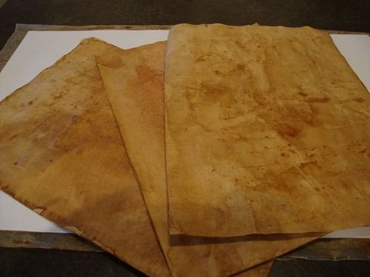 ۱۳ کاربرد غیرخوراکی و جالب پودر قهوه