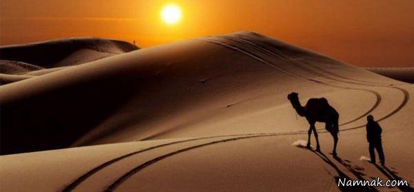 رکوردهای جهانی