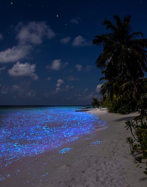 زیباترین پدیده های طبیعی که هر کسی باید یک بار در عمرش ببیند