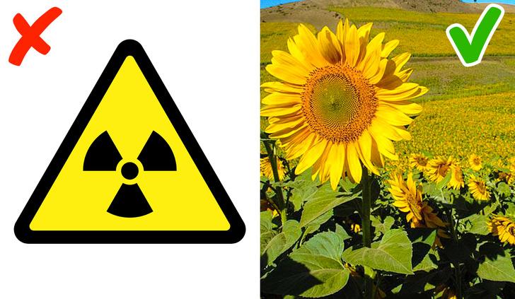 حقایق علمی جالب