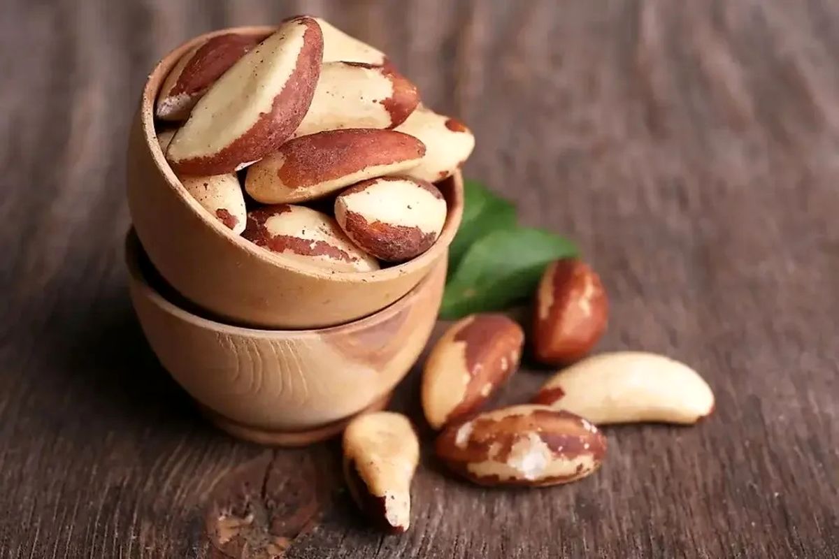 دانه‌ پرخاصیتی که می‌تواند سرطان‌ زا باشد