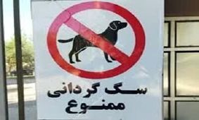 برخورد با سگ گردانی در اماکن و معابر عمومی زرند